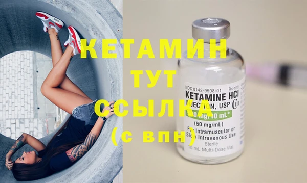 стаф Арсеньев
