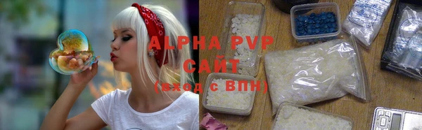 стаф Арсеньев