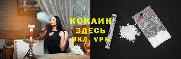 стаф Арсеньев