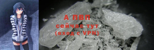 стаф Арсеньев