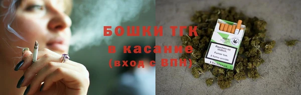 стаф Арсеньев