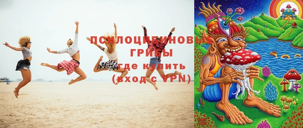 стаф Арсеньев