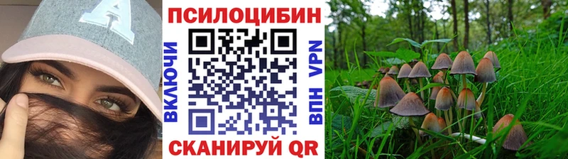 Галлюциногенные грибы Psilocybine cubensis  цена наркотик  mega вход  Старая Русса 